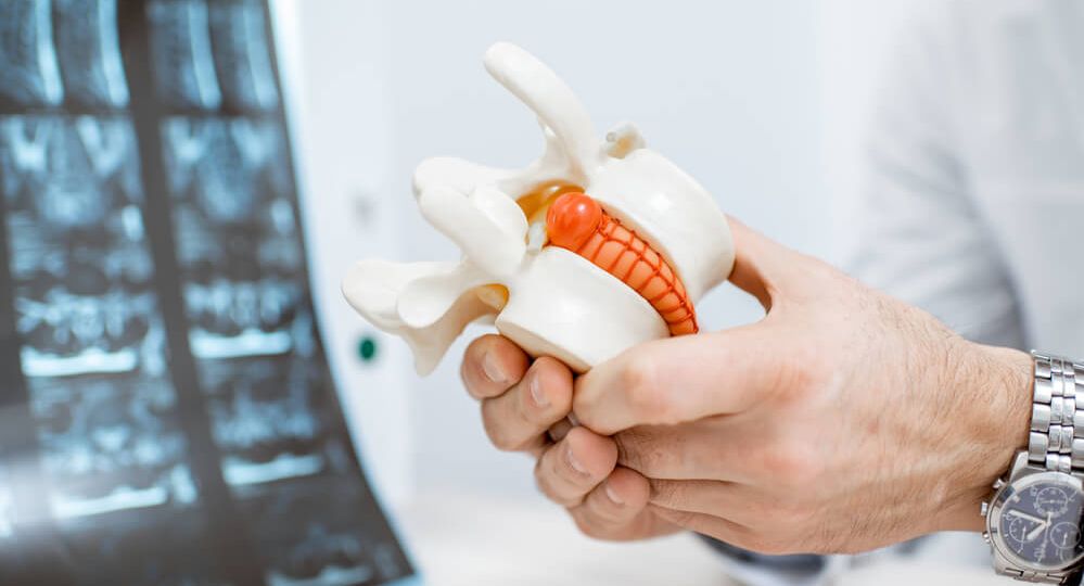 anatomical-model-of-vertebras-with-intervertebral-2021-09-02-05-21-23-utc-1-1